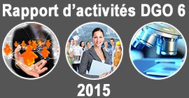 Rapport d'activités 2015 de la DGO6