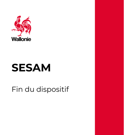 Ill. Fin du dispositif SESAM : ce qui change pour les employeurs wallons
