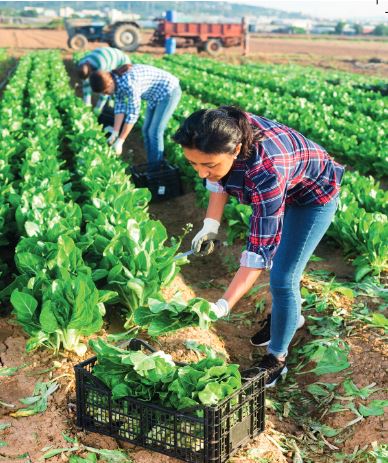 Formation professionnelle agricole : 374 cours et 625 stages en 2023 - 2024