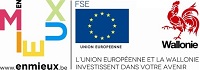 logo du Fonds sociale européen